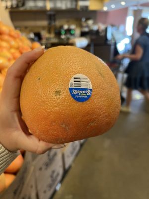 Central Market by null