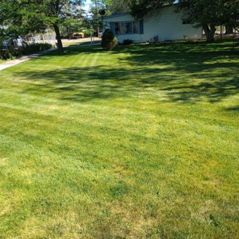 Pro Lawn Tech - Lawn Services Near Me Pro Lawn Tech - Lawn Services Near Me