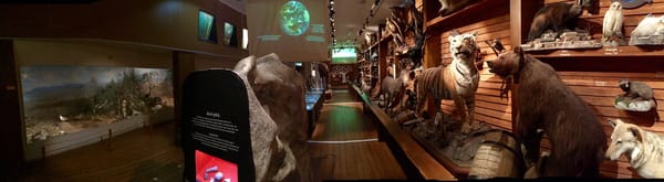 NTNU Vitenskapsmuseet by null