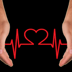 Ocean Acupuncture & Herbal Medicine