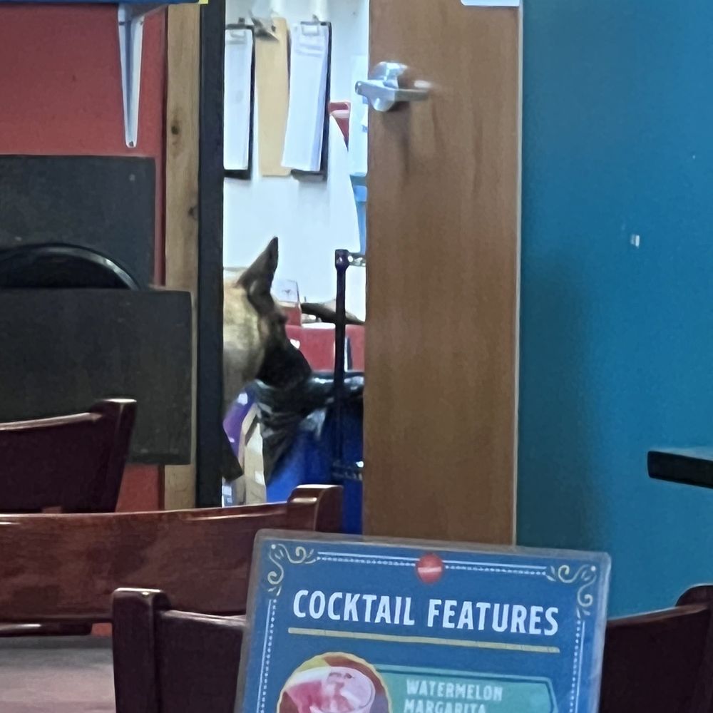 Serranos - See dog. - Tex-Mex Near Me - Cedar Park, Texas Serranos - See dog. - Tex-Mex Near Me - Cedar Park, Texas