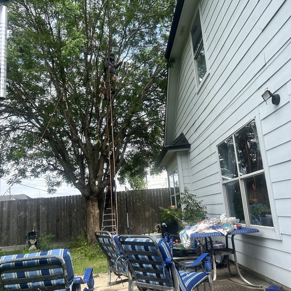 C.I.R Tree Service - We had to get the limbs away from the house - Tree Services Near Me - Houston, Texas