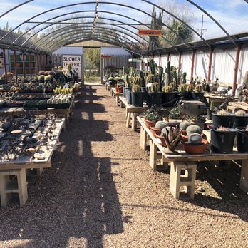 Cactus Mart - Nurseries & Gardening Near Me - Morongo Valley, California