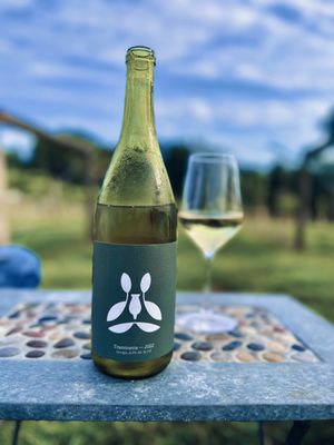 Doghobble Wine Farm by null