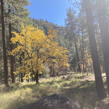 Pine Flat Campground - Campgrounds Near Me - Sedona, Arizona