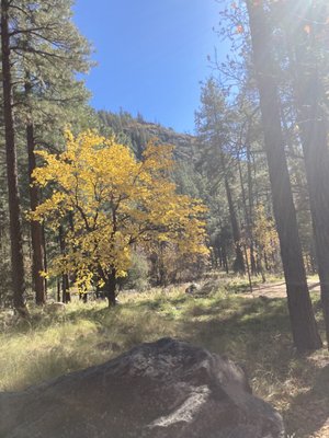 Pine Flat Campground by null
