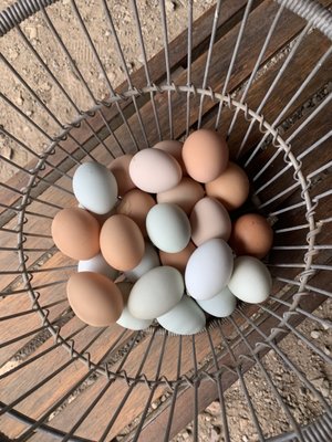 1760 Homestead Farm by null