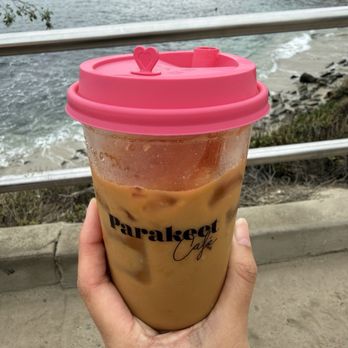 Parakeet cafe - Honey cinnamon latte - Coffee & Tea Near Me - San Diego, California Parakeet cafe - Honey cinnamon latte - Coffee & Tea Near Me - San Diego, California