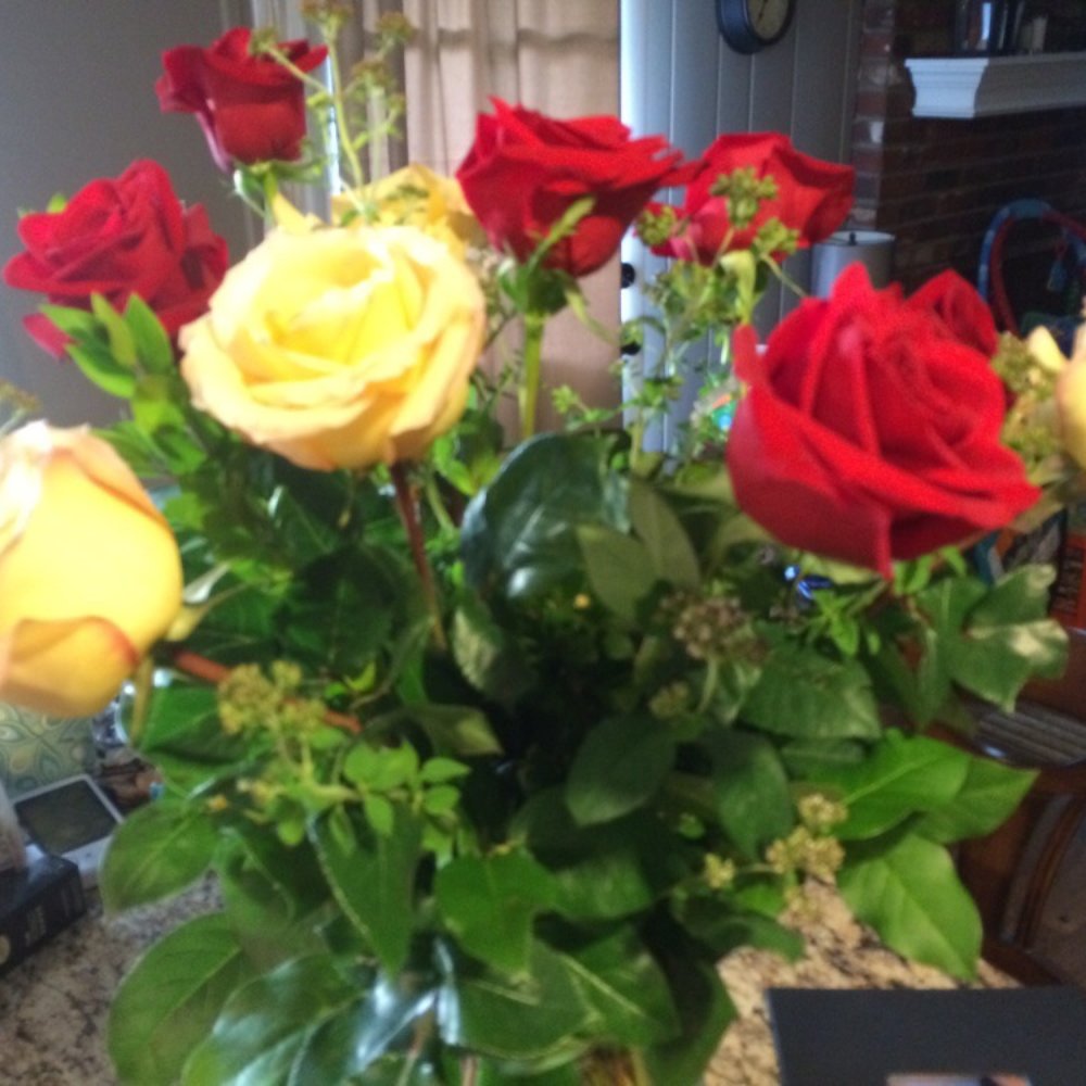 Santee Floral Designs - Beautiful arrangement of a dozen roses - Floral Designers Near Me - Overland Park, Kansas Santee Floral Designs - Beautiful arrangement of a dozen roses - Floral Designers Near Me - Overland Park, Kansas