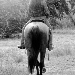 Juniper Hill Stables - Eileen & Wyatt