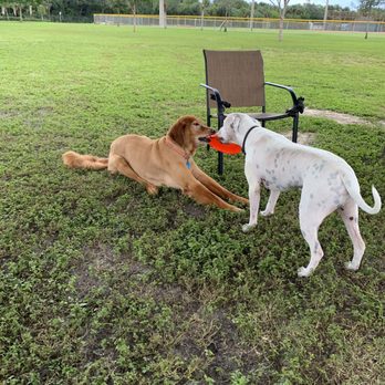 Vero Beach Dog Park - Dog Parks Near Me - Vero Beach, Florida