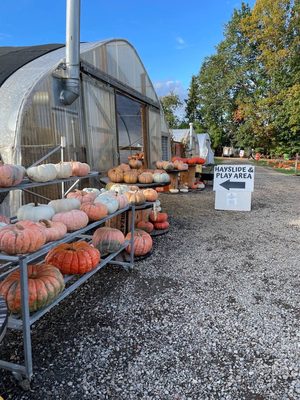 Bushue's Family Farm by null