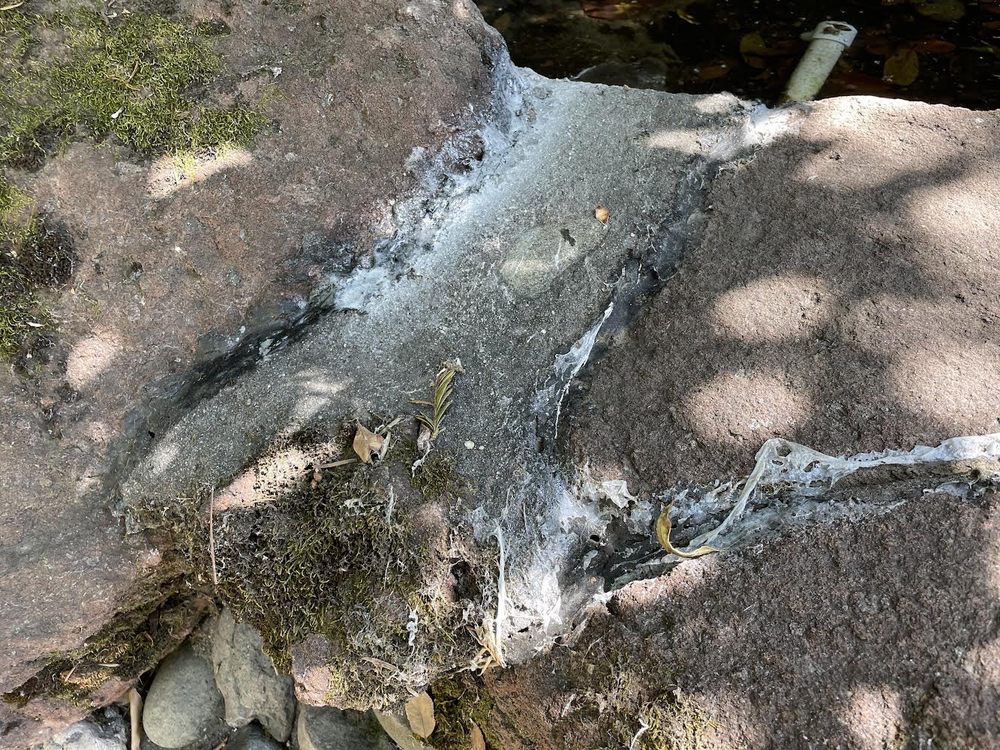 A.G. AQUARIUMS AND PONDS Updated September 2024 89 Photos & 12