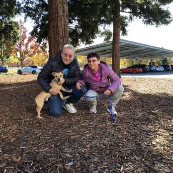 Joybound - Animal Shelters Near Me - Walnut Creek, California