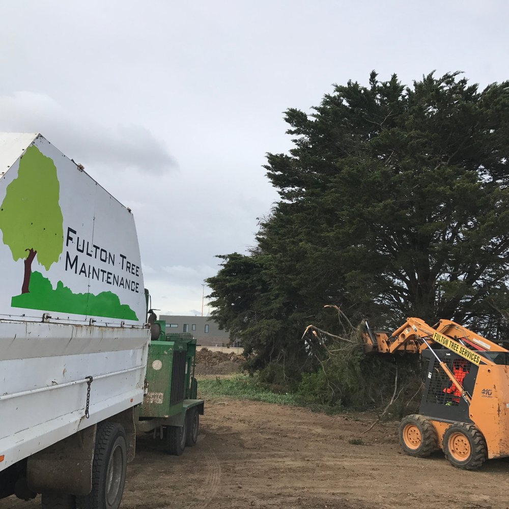 TOP 10 BEST Dumpster Rental near Geelong Victoria, Australia - Updated 2025  - Yelp