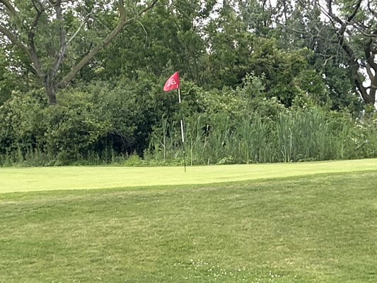 Belle Isle Golf Range by null