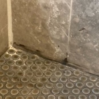 Building Kingdom - Grout left on shower wall tile - Handyman Near Me Building Kingdom - Grout left on shower wall tile - Handyman Near Me