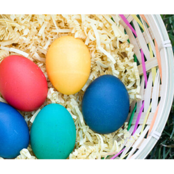 Heaven's Best Carpet Cleaning Asheville NC - Don't Miss Our SPRING SPECIAL