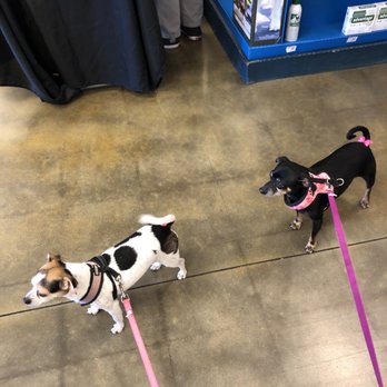 PetSmart - Pet Stores Near Me - Corona, California PetSmart - Pet Stores Near Me - Corona, California