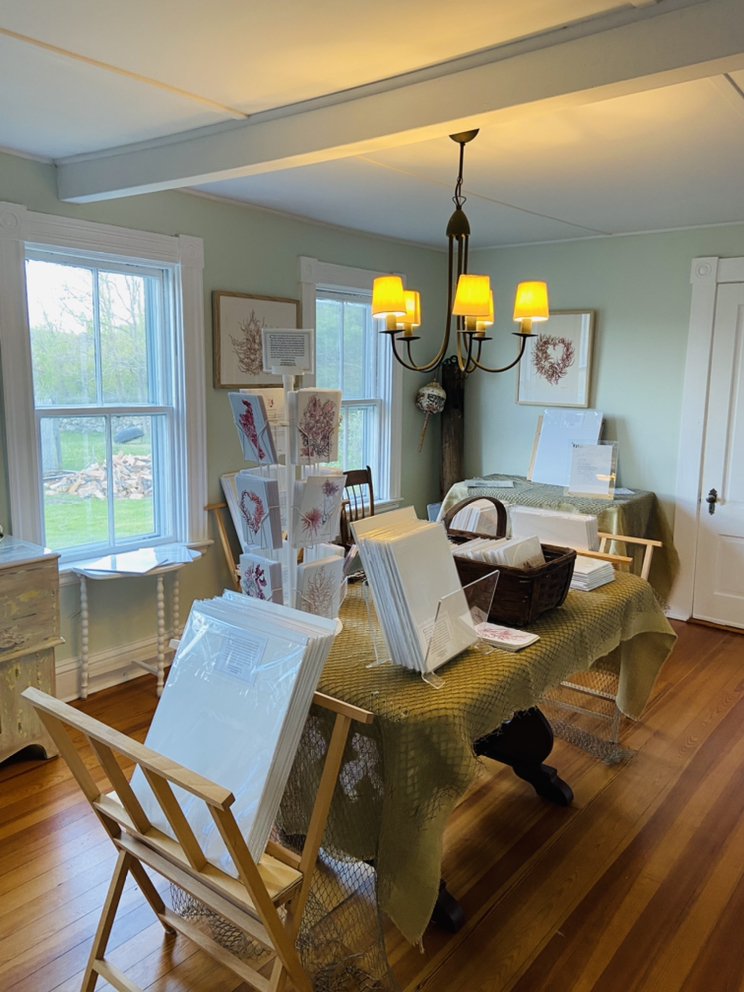 CORINNA KAUFMAN SEAWEED ART GALLERY Updated September 2024 28