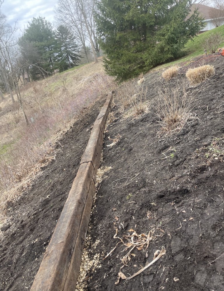 ALL ABOUT GREEN Updated April 2024 Request a Quote 17 Photos