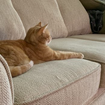 Fetch Pet Care - Raleigh - Pet Sitting Near Me