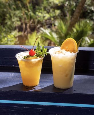 Tiki Docks Riverview by null