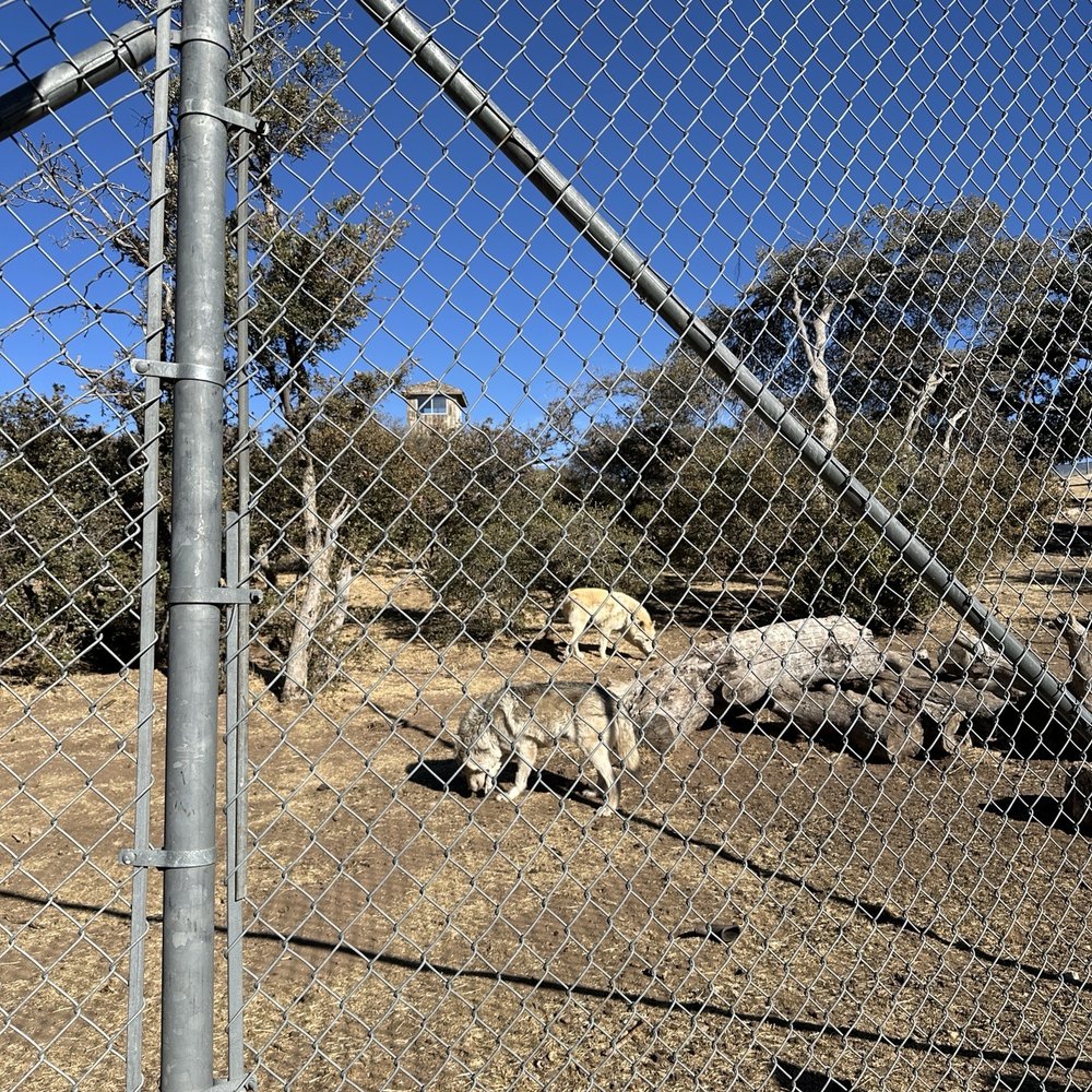 California Wolf Center - Zoos Near Me - Julian, California California Wolf Center - Zoos Near Me - Julian, California