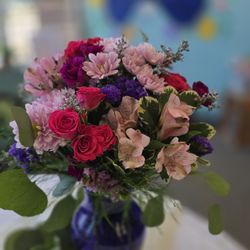 The Blue Orchid - Pink delight