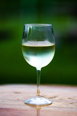 Stinson Vineyards by null