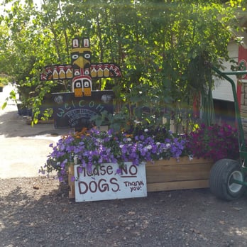 Saskatoon Farm - No dogs allowed - Farmers Market Near Me - De Winton, Alberta