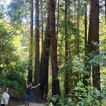 Glen Oaks Big Sur - Hotels Near Me - Big Sur, California Glen Oaks Big Sur - Hotels Near Me - Big Sur, California