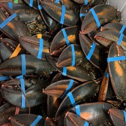 Hutto Seafood Market and Kitchen