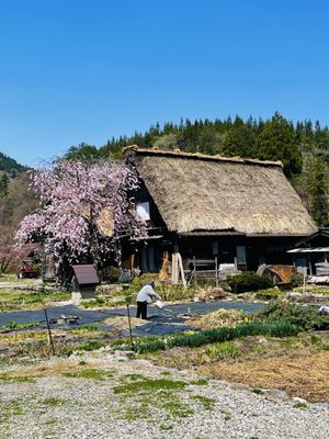 Shirakawa-go by null