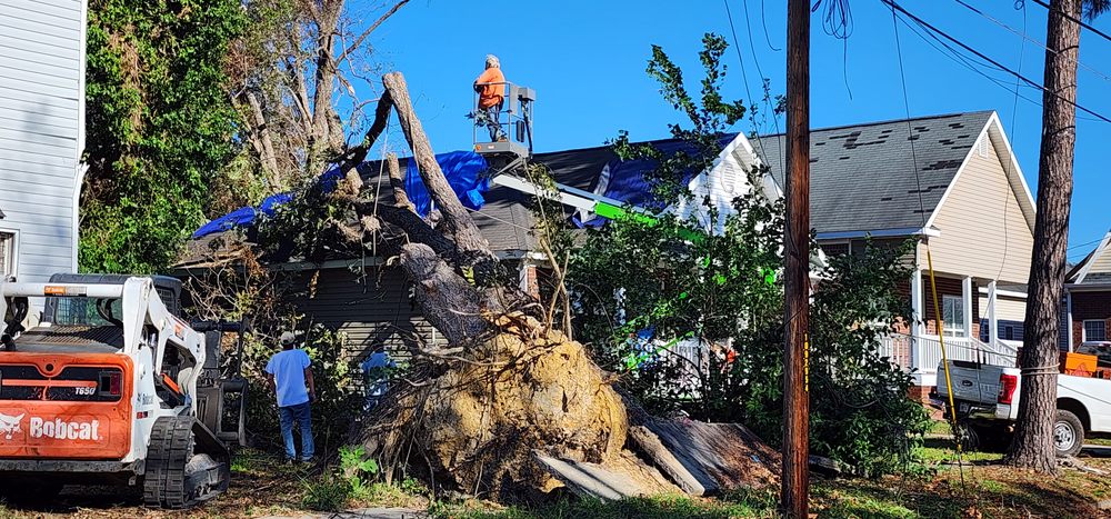 Live Oak Services - tree service in Gilbert, SC