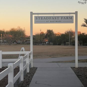 Steadfast Coffee - Steadfast farm - Coffee & Tea Near Me - Gilbert, Arizona