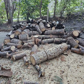 Golden Oak Tree Service - Tree Services Near Me - Sylmar, California Golden Oak Tree Service - Tree Services Near Me - Sylmar, California