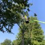 M.P.R Tree Enterprises