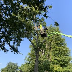 M.P.R Tree Enterprises