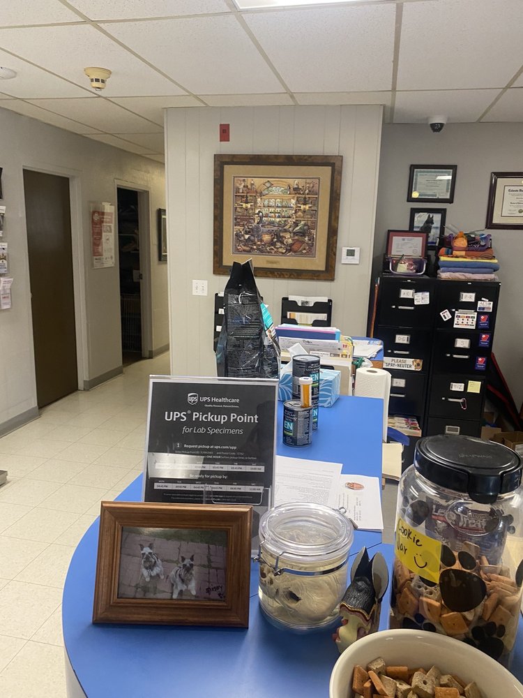 Southwest Pet Hospital - pet boarding facility in Springdale, AR