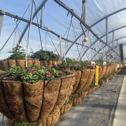 Klinger Farm Market