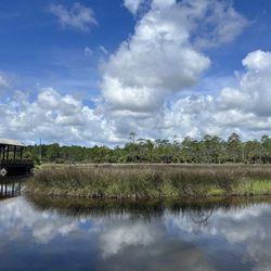 Graham Swamp Mala Compra Mtb Trail AllTrails: Hike, Bike Run By