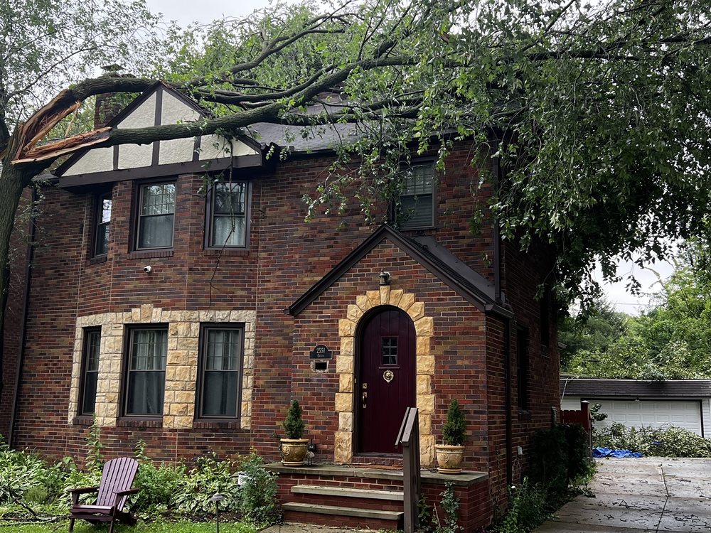 Nature's Beauty Tree Service - tree service in South Euclid, OH