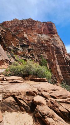 Angels Landing by null