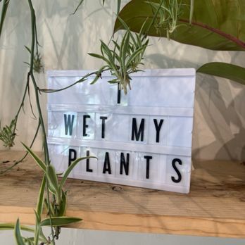 Savvy Nursery - Nurseries & Gardening Near Me - San Francisco, California Savvy Nursery - Nurseries & Gardening Near Me - San Francisco, California