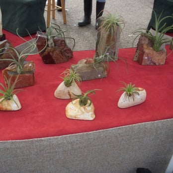 Water Stones - Florists Near Me - Austin, Texas Water Stones - Florists Near Me - Austin, Texas