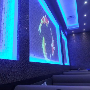 Wild Ginger - Sushi Bars Near Me - Daytona Beach, Florida Wild Ginger - Sushi Bars Near Me - Daytona Beach, Florida