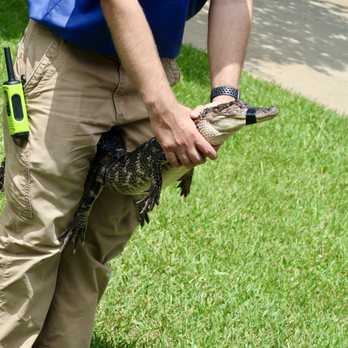Insta-Gator Ranch & Hatchery - Nice to see the features in action as we learned about them - Tours Near Me - Covington, Louisiana