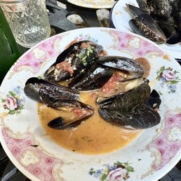 Mussels Mussels