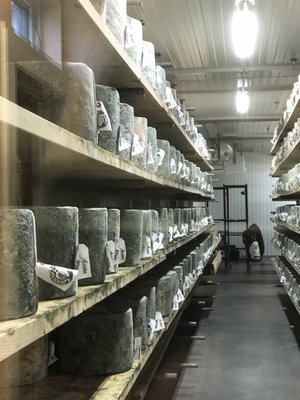 COWS Creamery by null